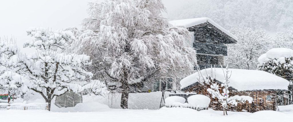 Ferienwohnung Naturhaus Netzer Schruns - Montafon - Vorarlberg